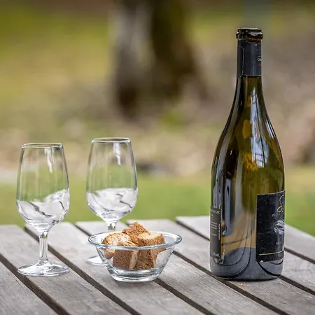 Le Tzanton By Interhome * Ovronnaz