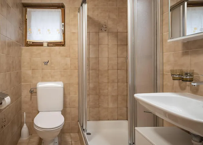 Le Tzanton By Interhome * Ovronnaz